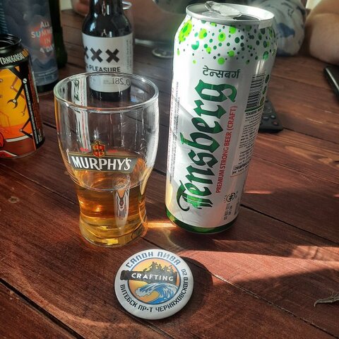 TENSBERG PREMIUM STRONG BEER (500 ML CAN)